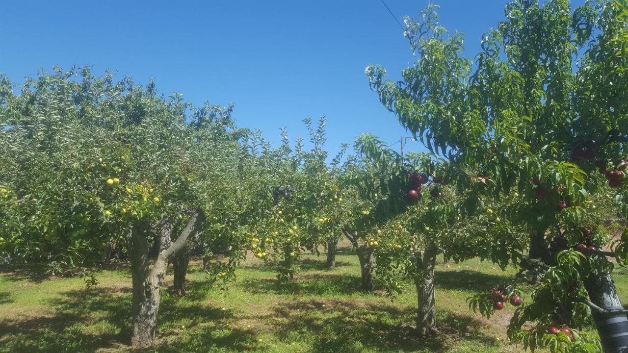 Quinta Do Serrado De Belmonte Belmonte  Buitenkant foto